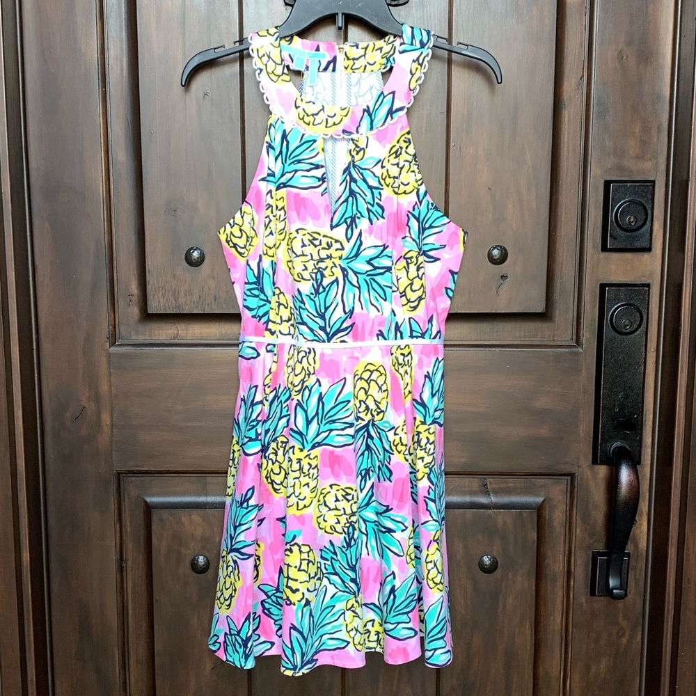 🍍Host Pick 🍍🆕 Pink Pineapple 🍍 Dress 👗 - Picture 2 of 8